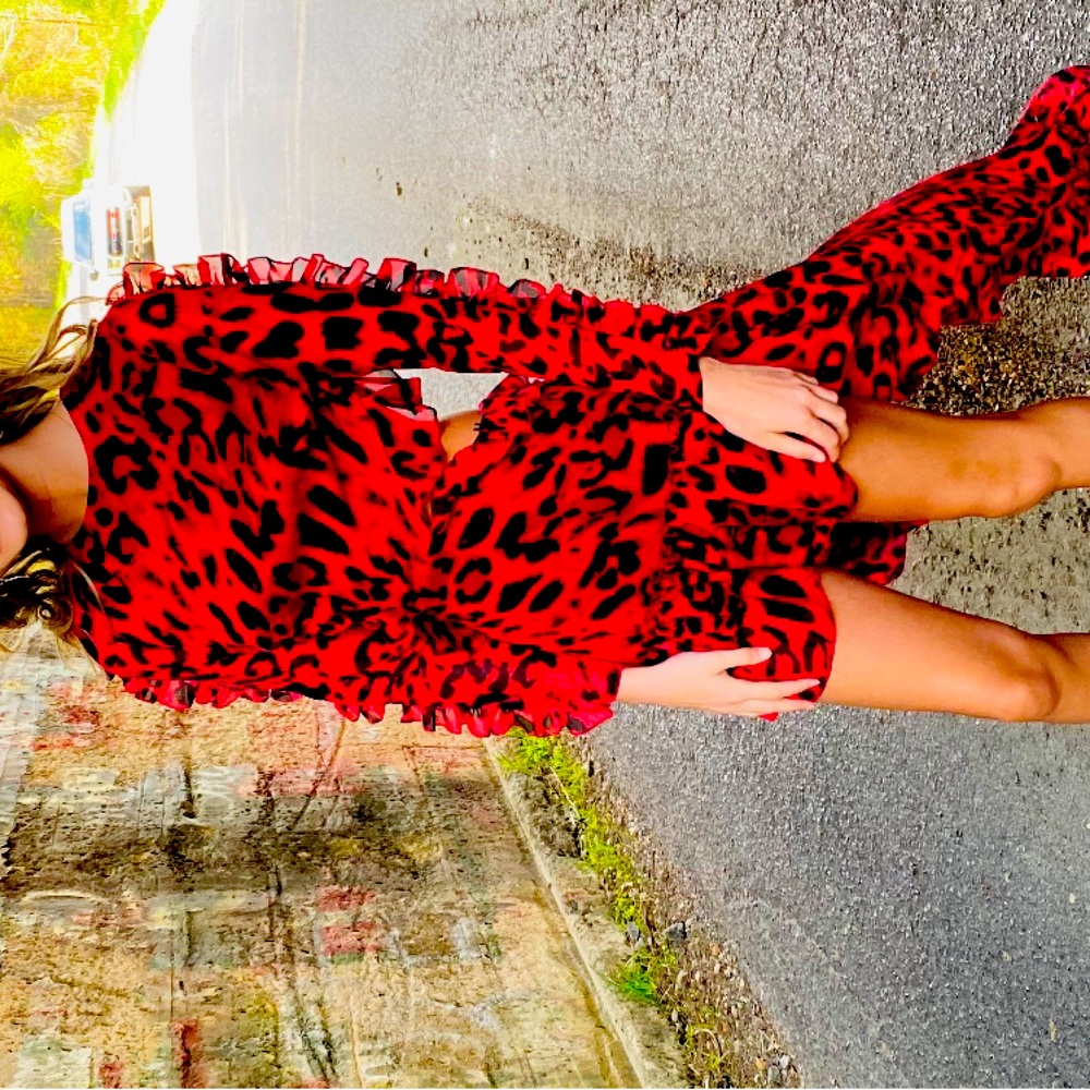 Dress from Shein worn one time